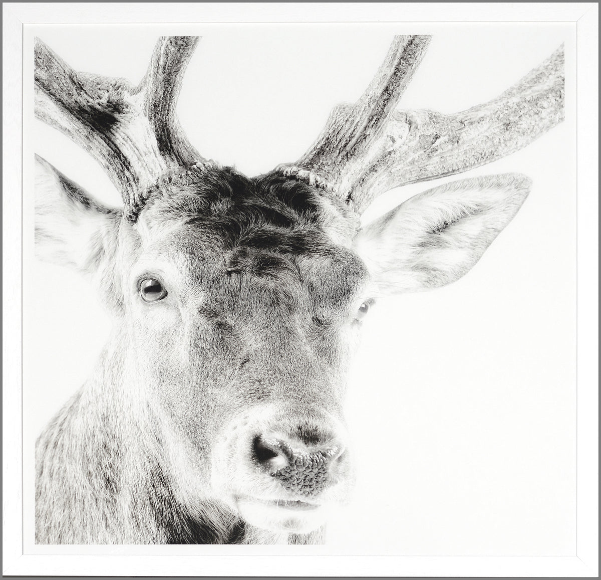 Celtic Myth — nature and landscape fine art print in neutral tones at Laurie Yapp Home