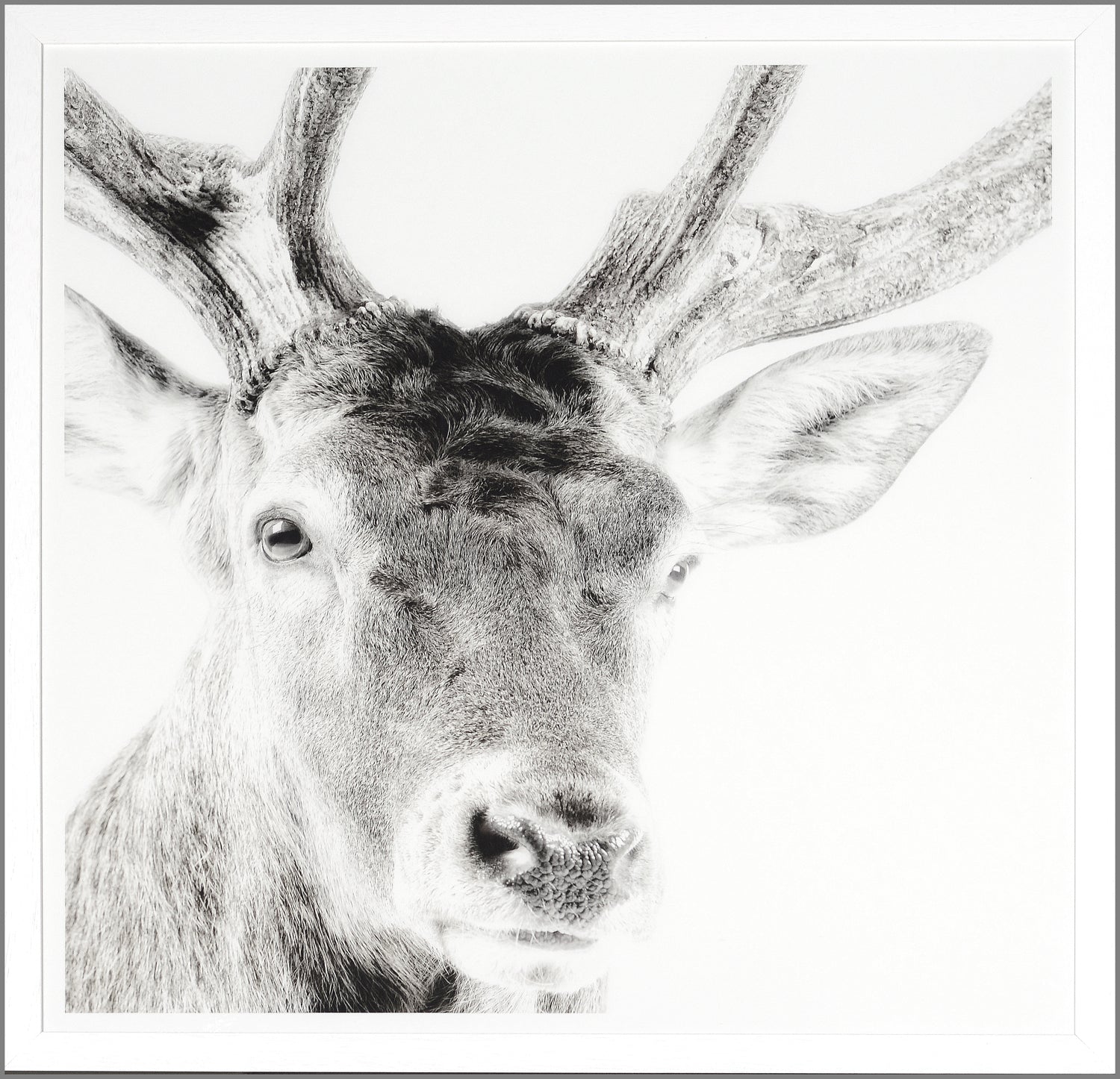 Celtic Myth — nature and landscape fine art print in neutral tones at Laurie Yapp Home