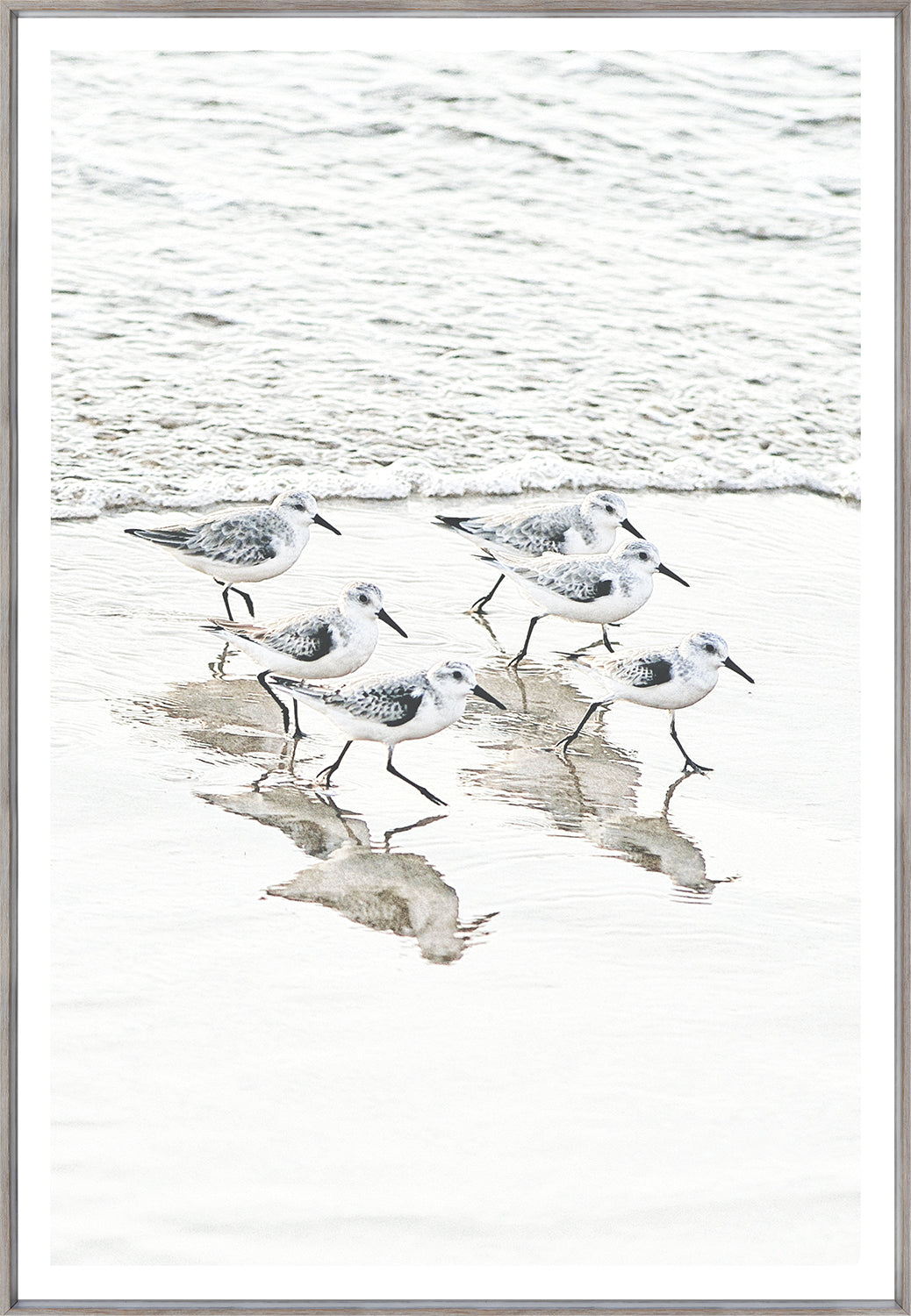 Piper Meet I wall art featuring five shorebirds walking on wet sand near the ocean