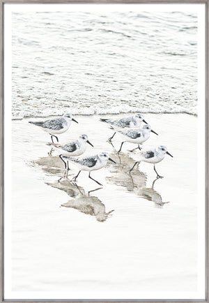 Piper Meet I wall art featuring five shorebirds walking on wet sand near the ocean