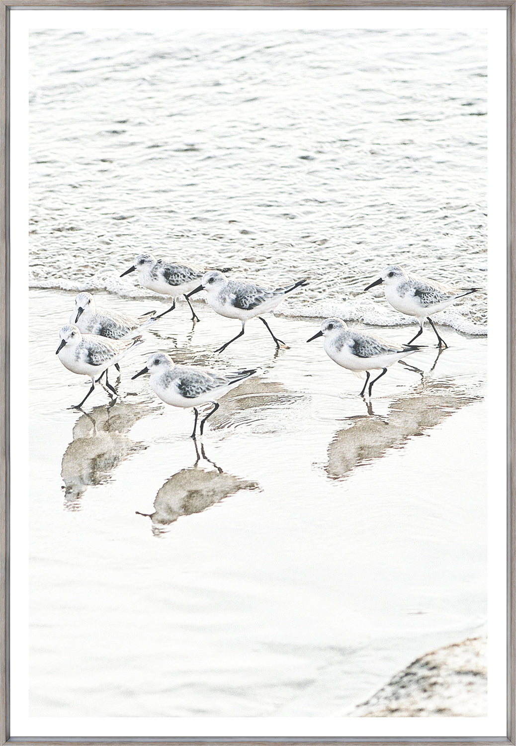 Piper Meet II wall art featuring a group of shorebirds walking on wet sand with reflections.