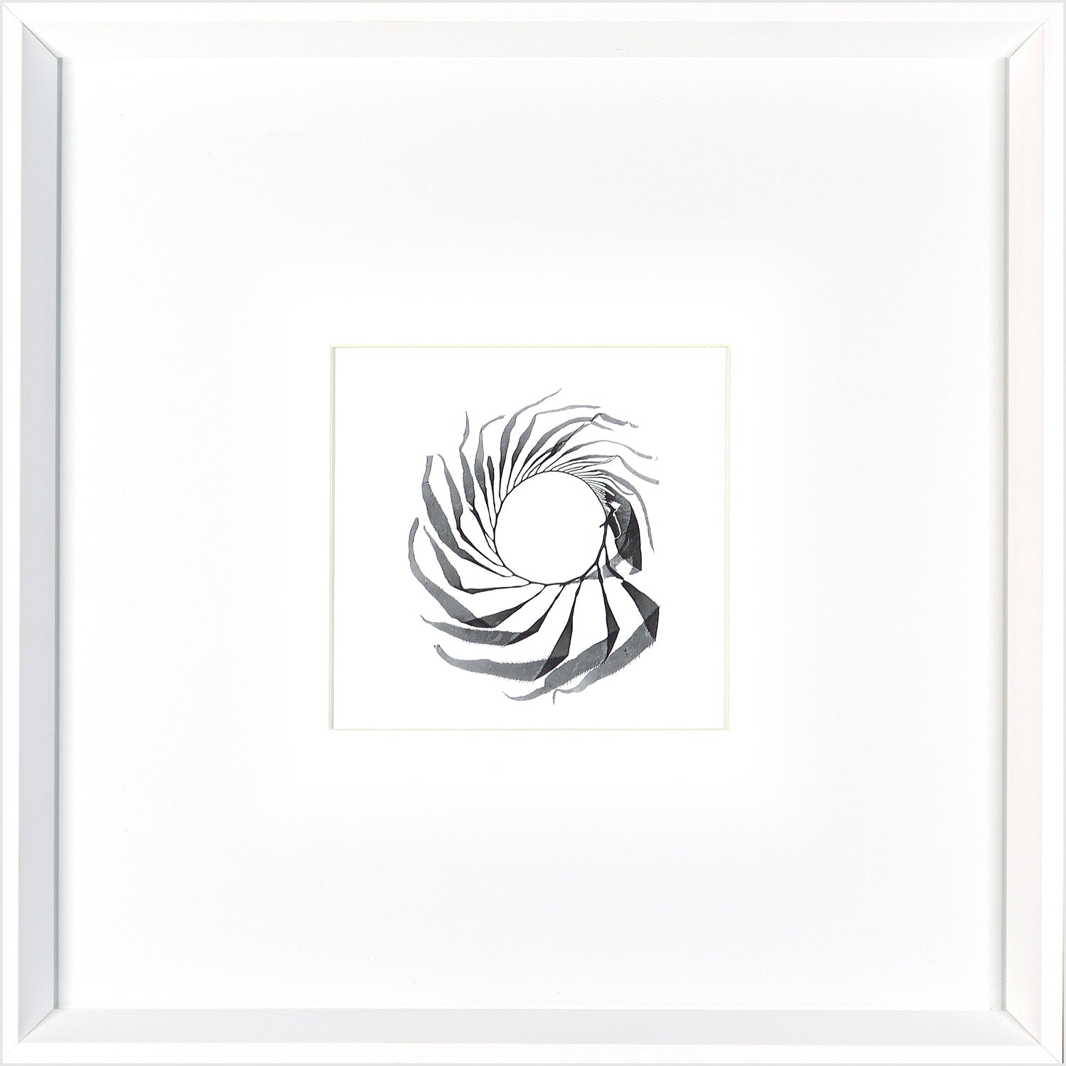 Seaweed Spiral — abstract fine art print in neutral tones at Laurie Yapp Home