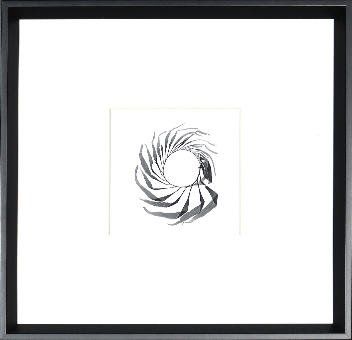 Seaweed Spiral wall art featuring a black and white spiral design in a black frame.