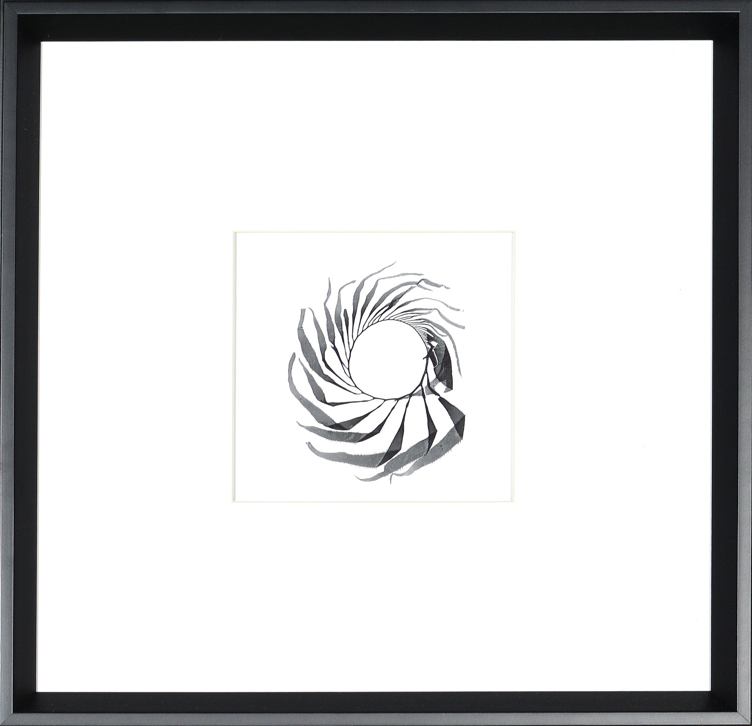 Seaweed Spiral wall art featuring a black and white spiral design in a black frame.