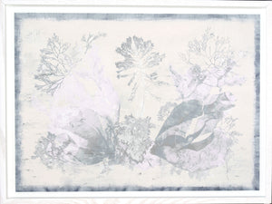 Seaweed Collection II wall art featuring delicate seaweed illustrations in soft colors.
