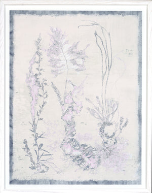 Seaweed Collection III wall art featuring delicate seaweed illustrations in soft pink and gray tones.