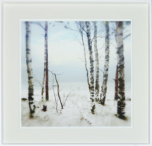 After The Storm — nature and landscape fine art print in cool tones at Laurie Yapp Home