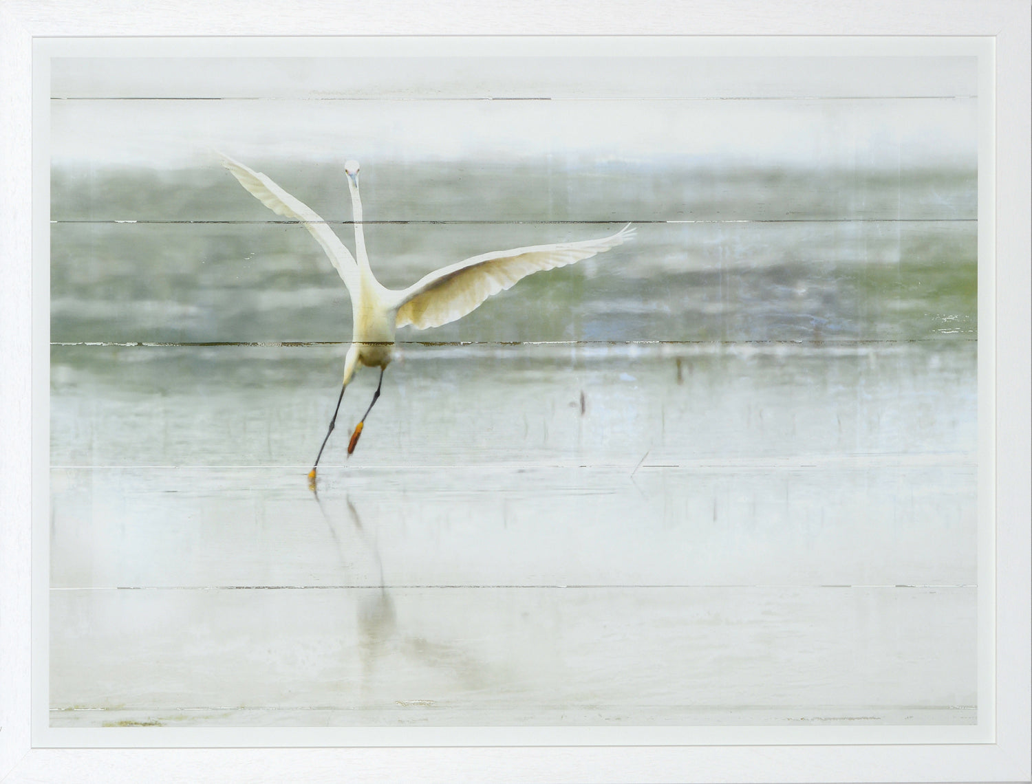 The Young Egret wall art featuring a white egret in flight over a serene water background.