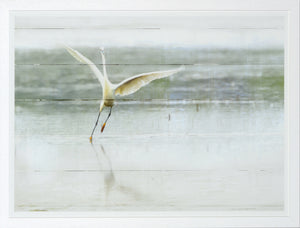 The Young Egret wall art featuring a white egret in flight over a serene water background.