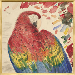 33,25 × 33,25 po