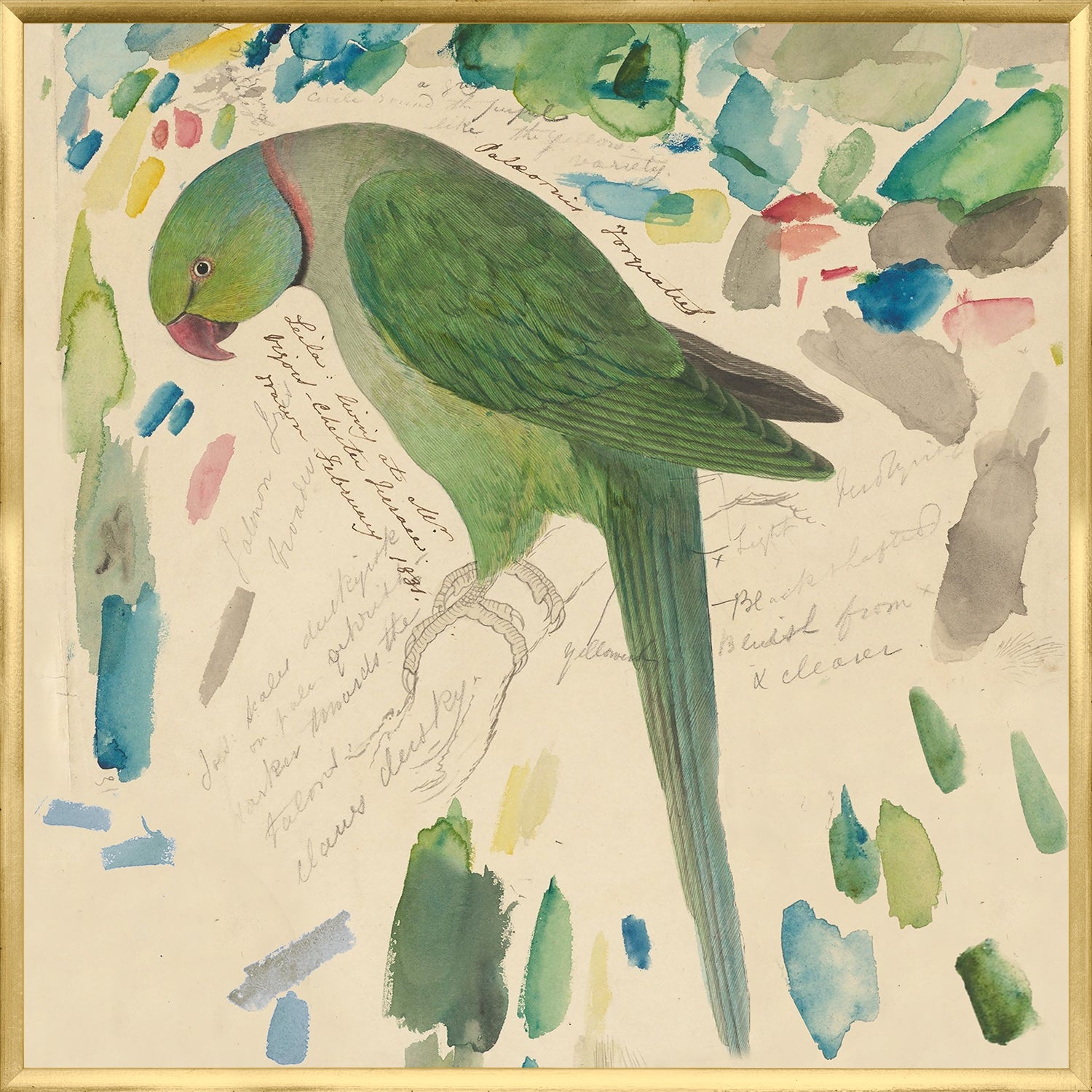 Lear – Green Parrot — nature and landscape fine art print in cool tones at Laurie Yapp Home
