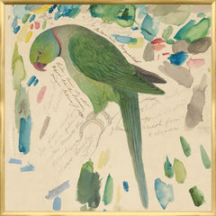33,25 × 33,25 po