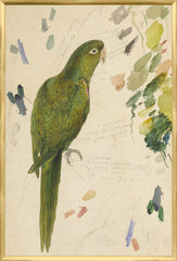 25,25 × 37,25 po