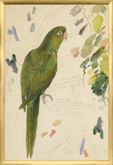 17,25 × 25,25 pouces