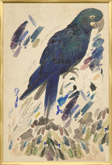 25,25 × 37,25 po