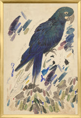 17,25 × 25,25 pouces
