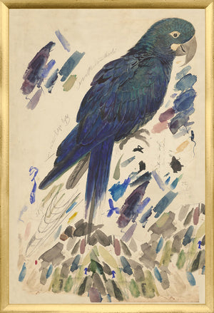 Lear Blue Parrot framed art print