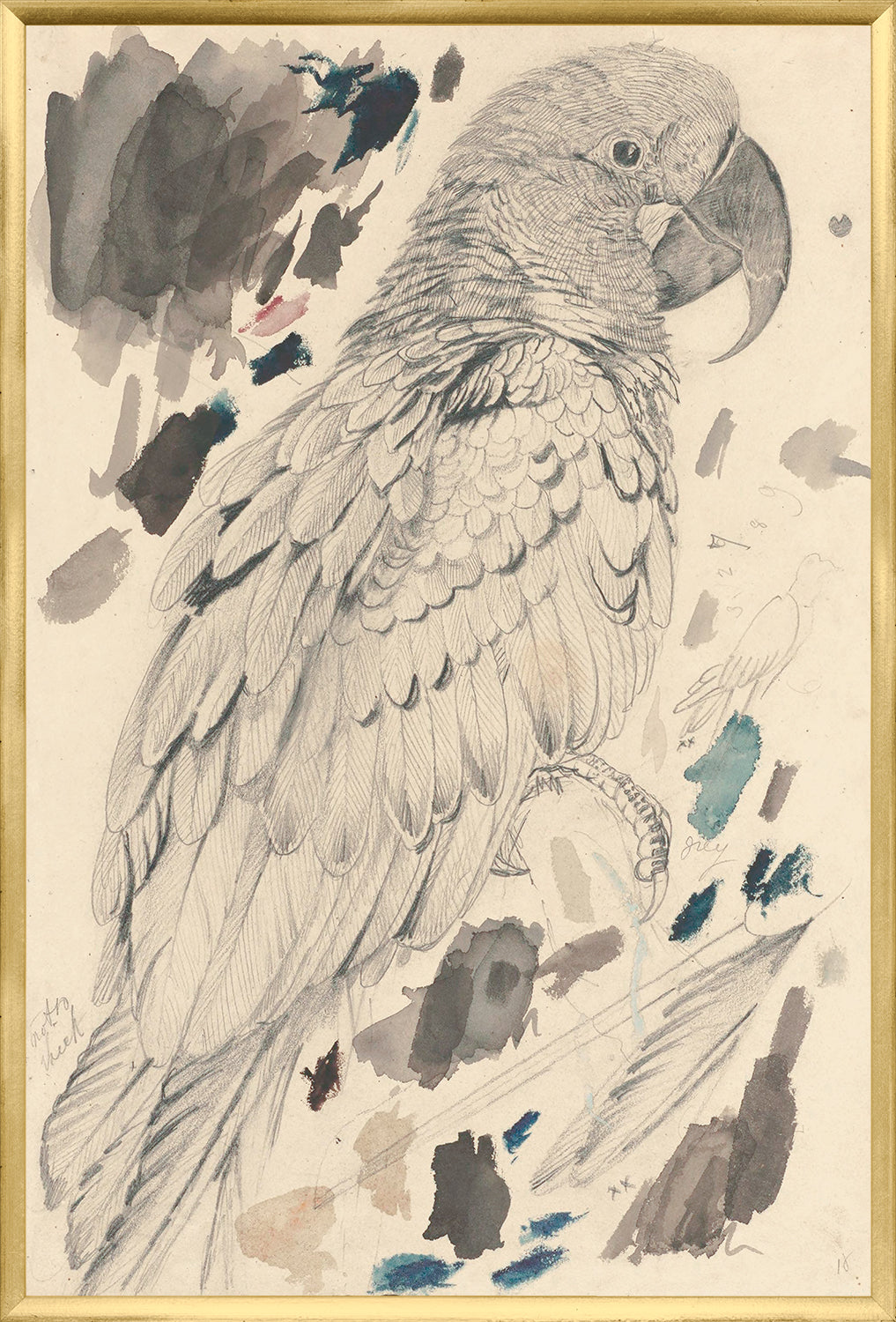 Lear – Macaw — nature and landscape fine art print in neutral tones at Laurie Yapp Home