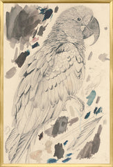 25,25 × 37,25 po