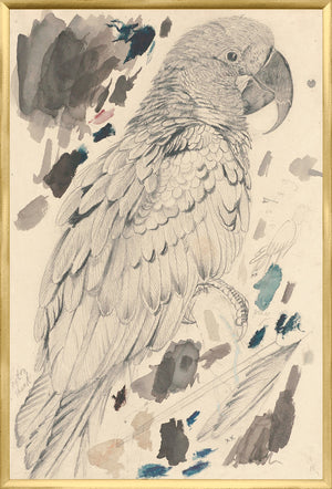 Lear – Macaw — nature and landscape fine art print in neutral tones at Laurie Yapp Home