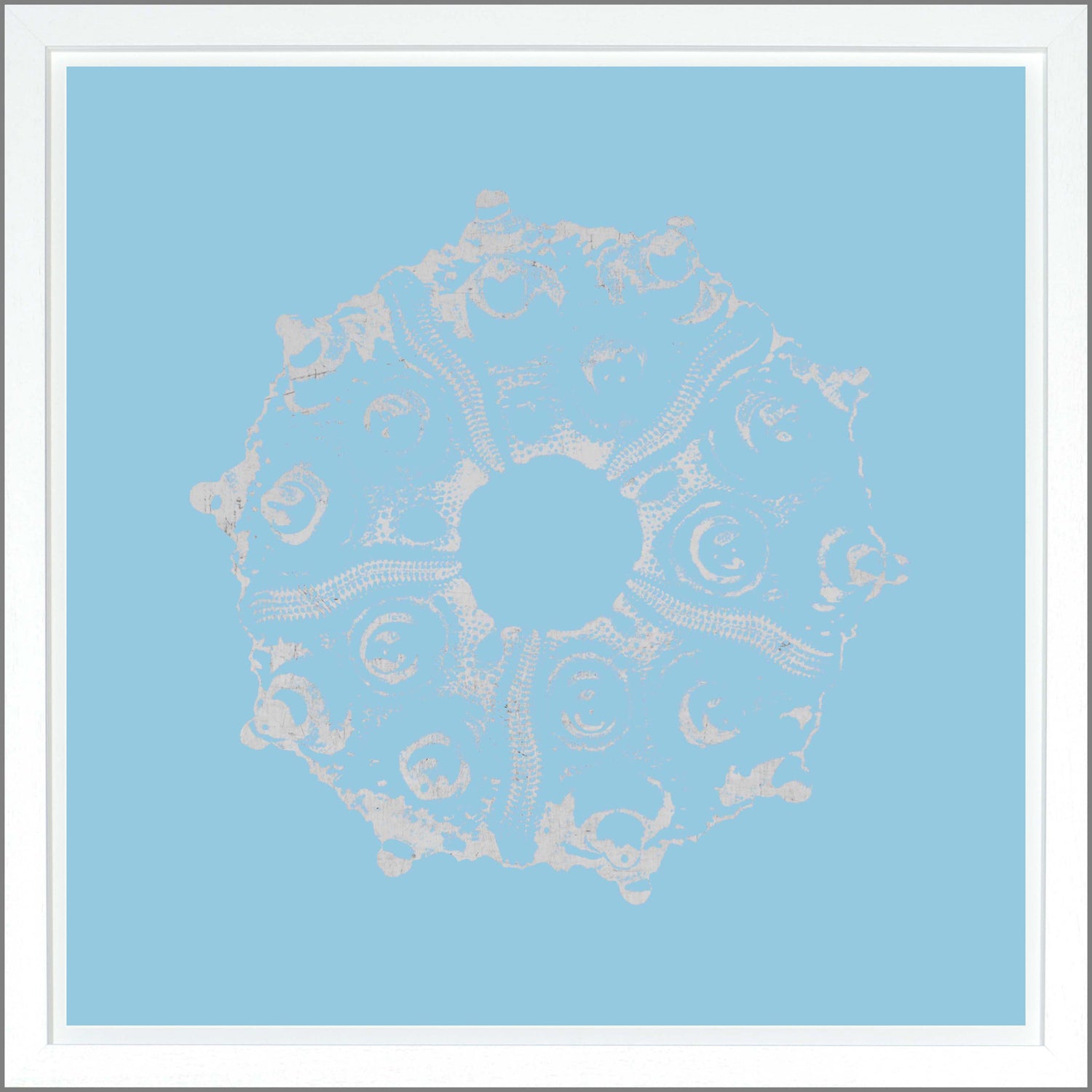 Sea Urchin — abstract fine art print in cool tones at Laurie Yapp Home