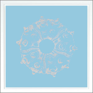 Sea Urchin — abstract fine art print in cool tones at Laurie Yapp Home
