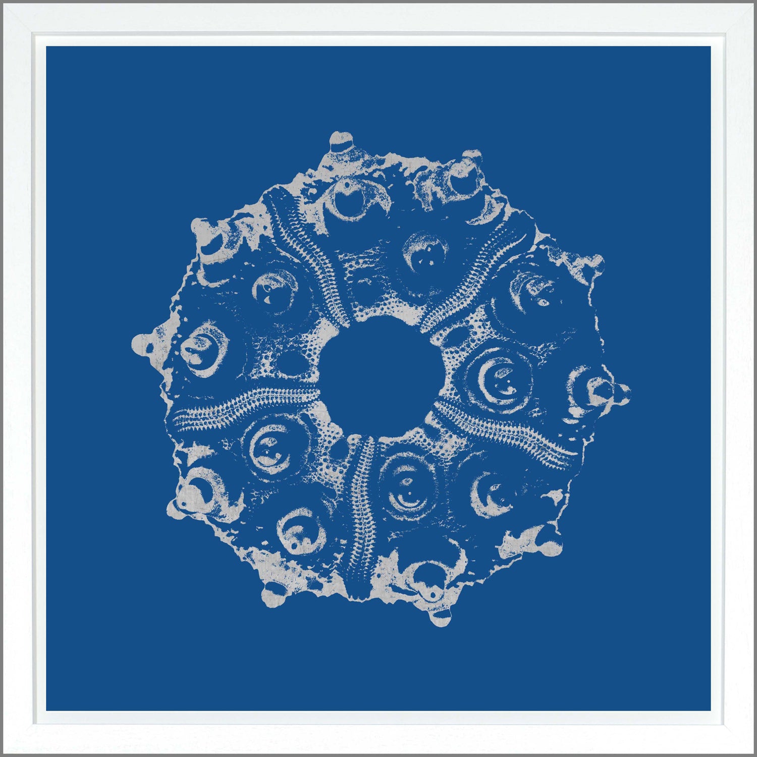 Sea Urchin — abstract fine art print shown from another angle