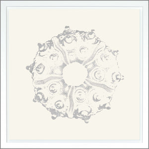 Sea Urchin — abstract fine art print shown from another angle