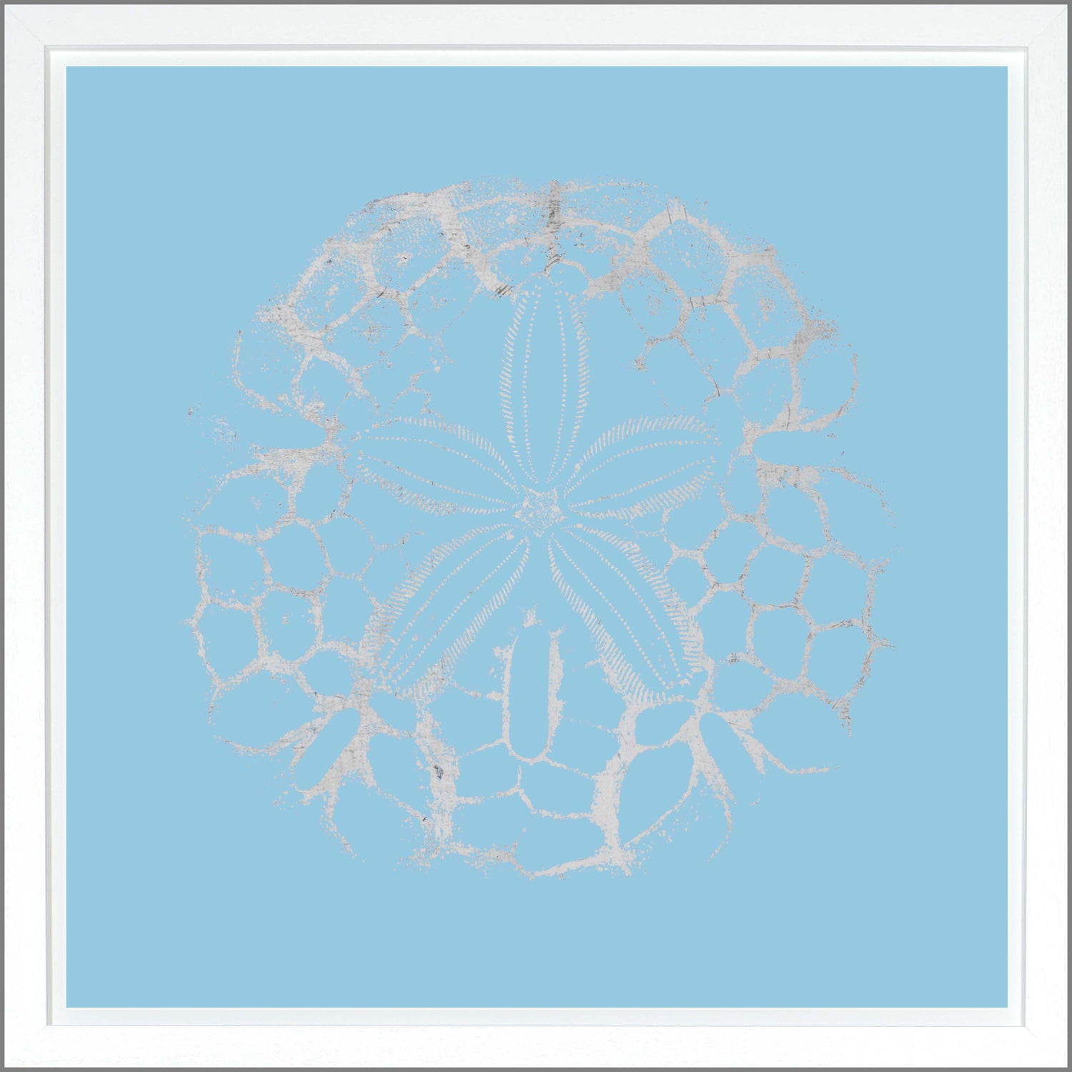 Sand Dollar — nature and landscape fine art print in cool tones at Laurie Yapp Home