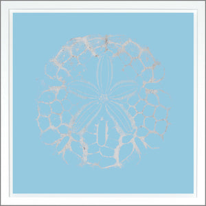 Sand Dollar — nature and landscape fine art print in cool tones at Laurie Yapp Home