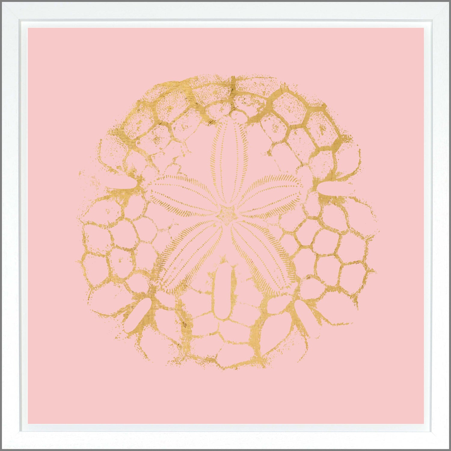 Sand Dollar — nature and landscape fine art print shown from another angle