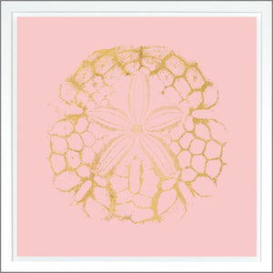 Sand Dollar — nature and landscape fine art print shown from another angle