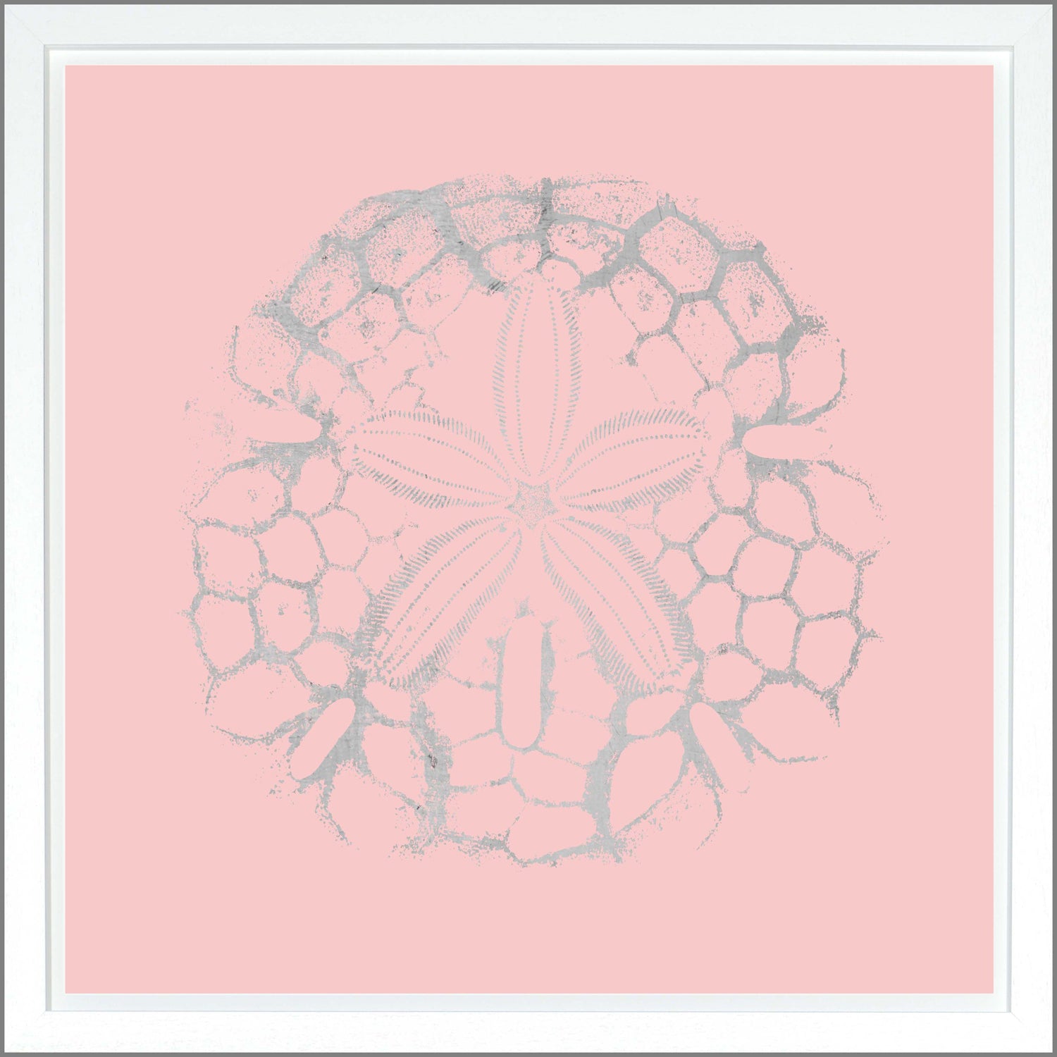 Sand Dollar — nature and landscape fine art print shown from another angle