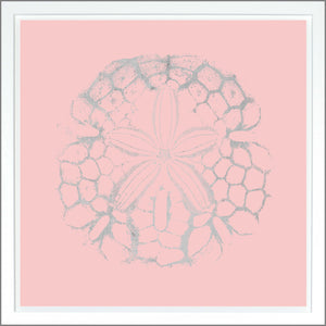 Sand Dollar — nature and landscape fine art print shown from another angle