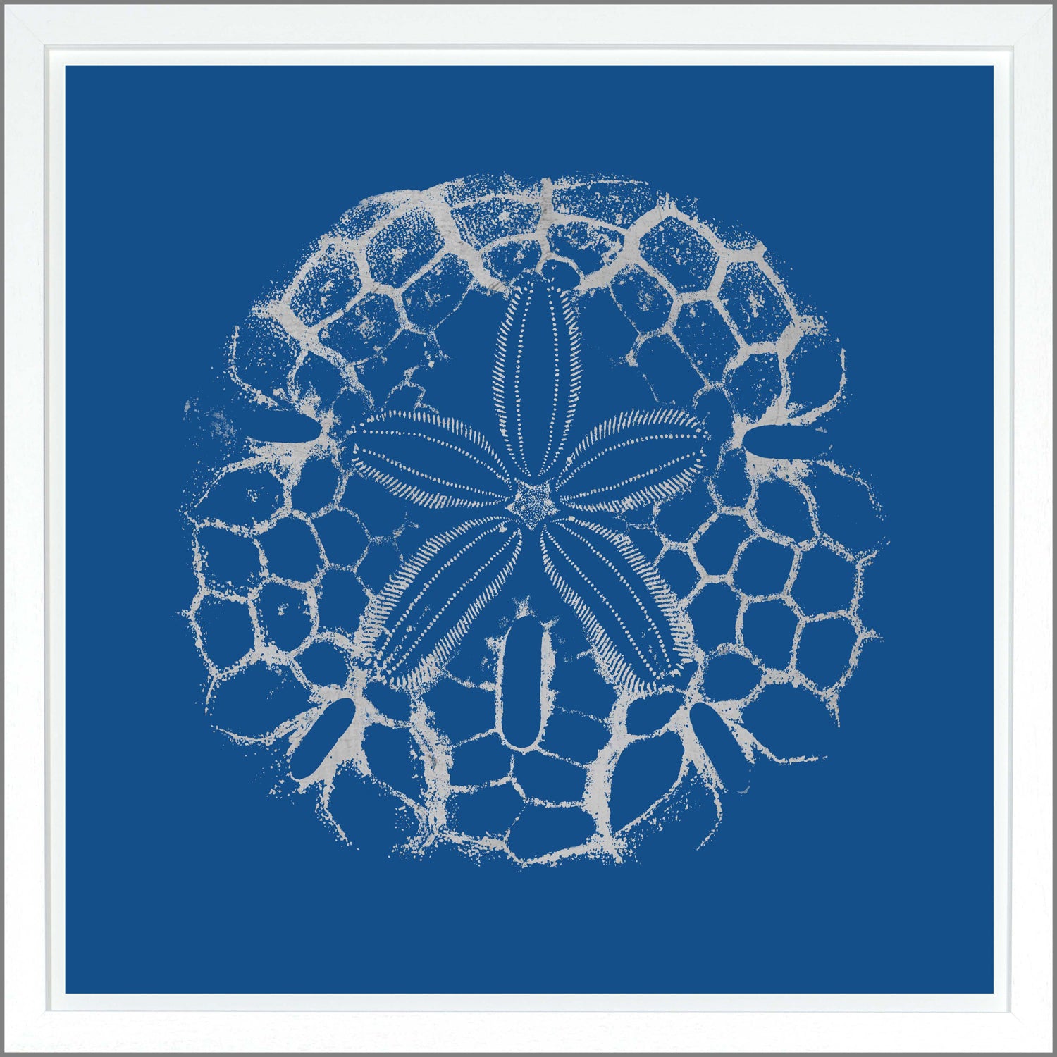 Sand Dollar — nature and landscape fine art print shown from another angle