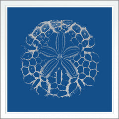 38,75 × 38,75 po – Bleu foncé, Doré - Argent