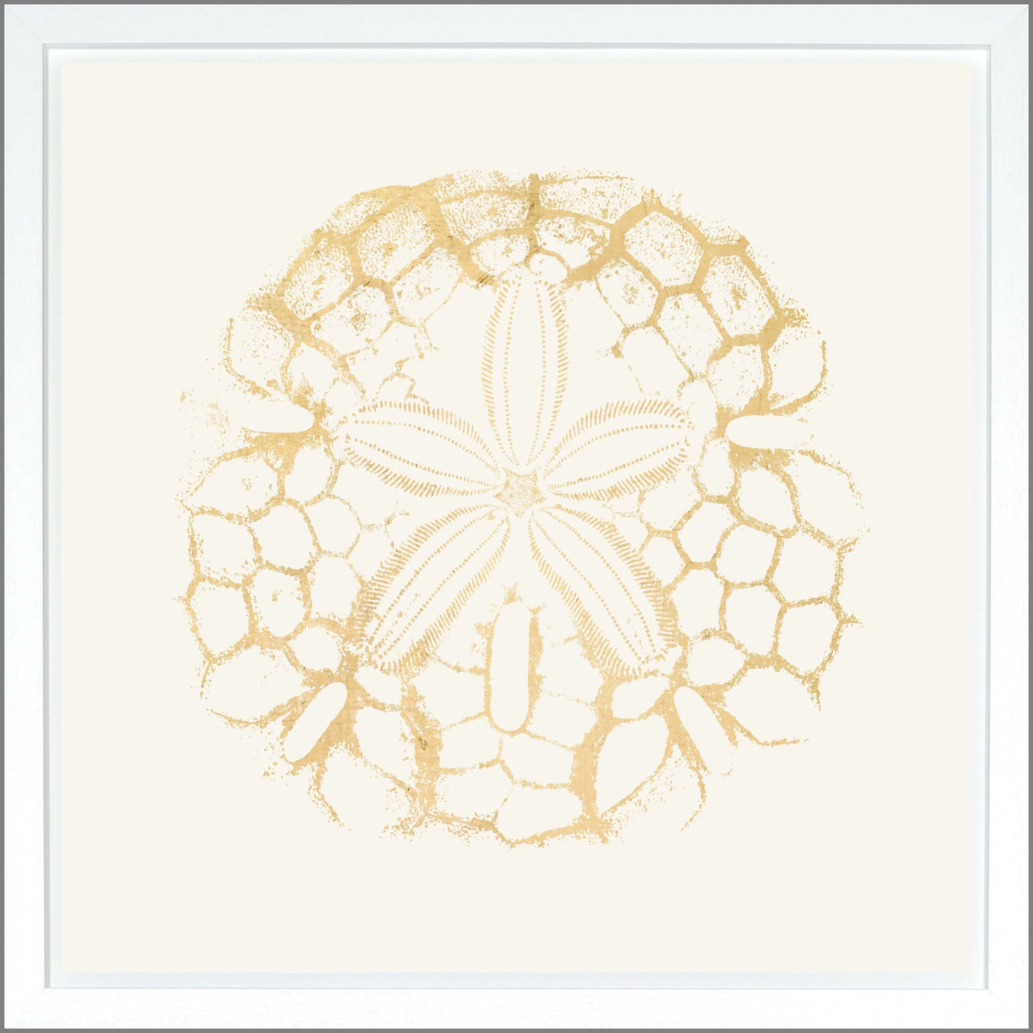 Sand Dollar — nature and landscape fine art print shown from another angle