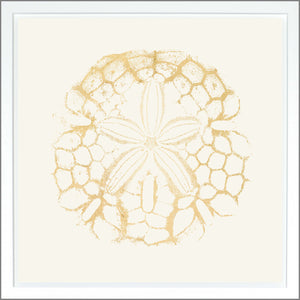 Sand Dollar — nature and landscape fine art print shown from another angle