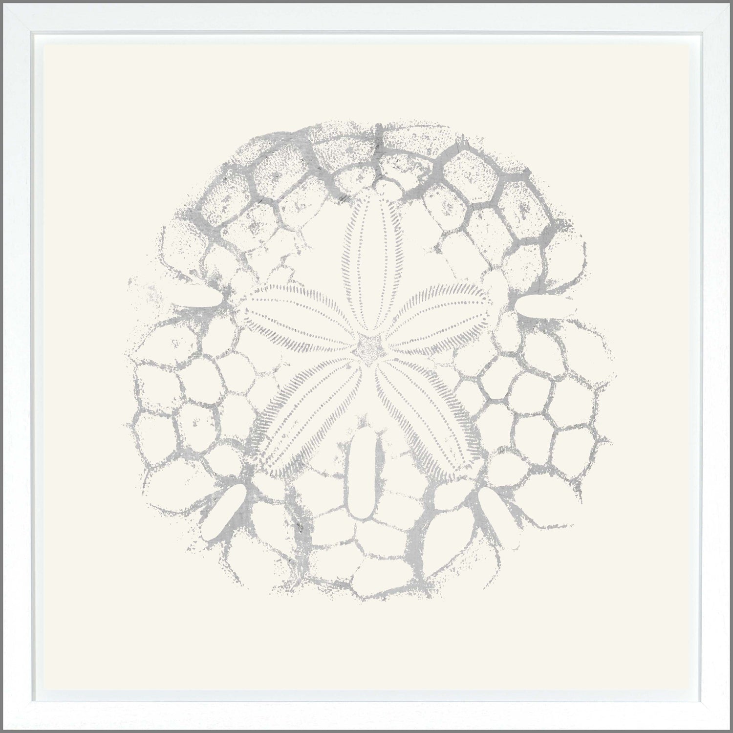 Sand Dollar — nature and landscape fine art print shown from another angle