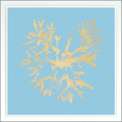 38,75 × 38,75 po – Bleu clair, Dorure - Or