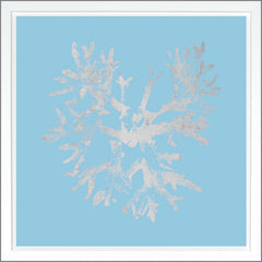 98,43 × 98,43 cm – Bleu clair, Dorure - Argent