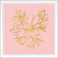 38,75 × 38,75 po – Rose, Dorure - Or