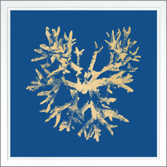 38,75 × 38,75 po – Bleu Foncé, Dorure - Or
