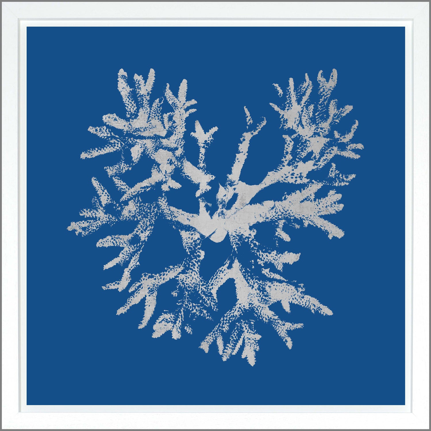 Coral — nature and landscape fine art print shown from another angle