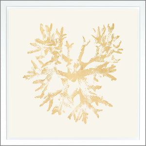 Coral — nature and landscape fine art print shown from another angle