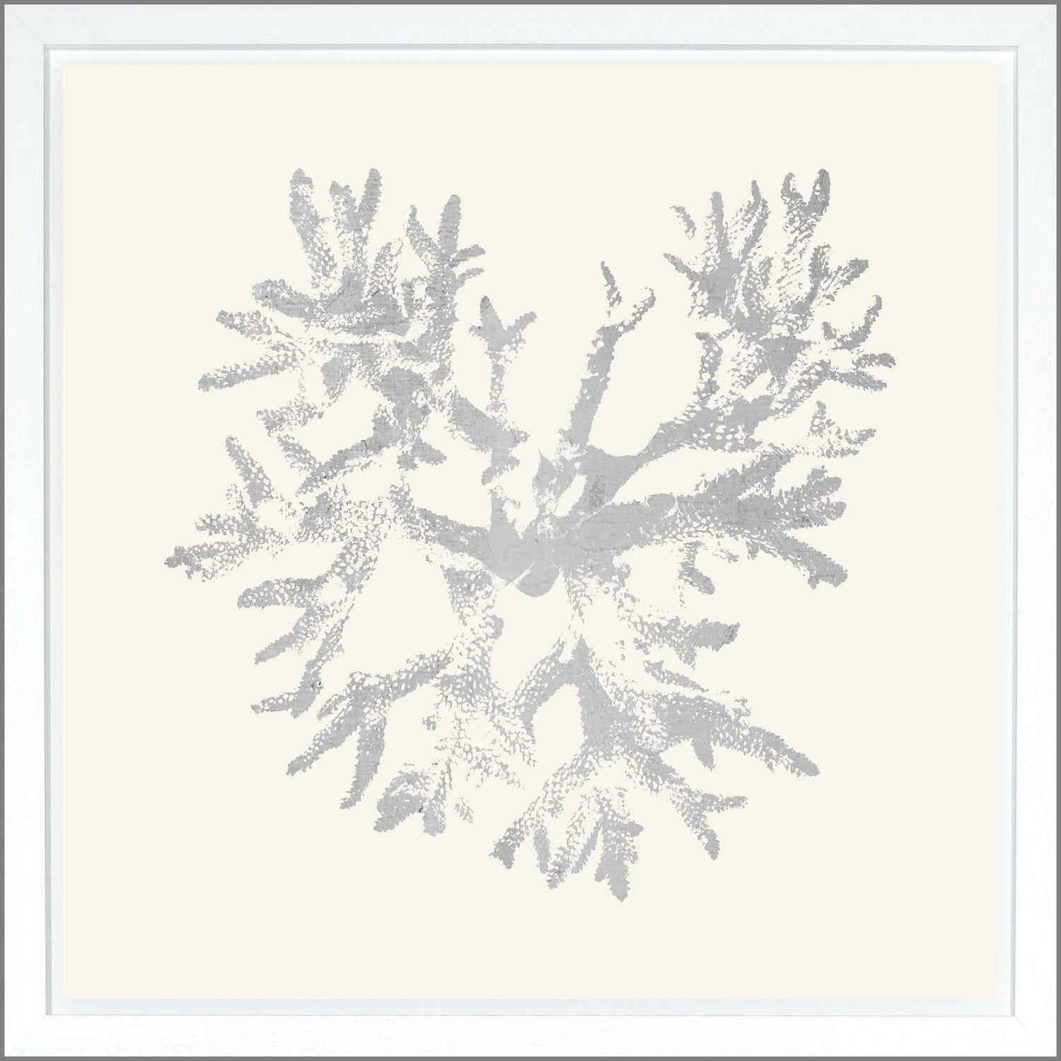 Coral — nature and landscape fine art print shown from another angle