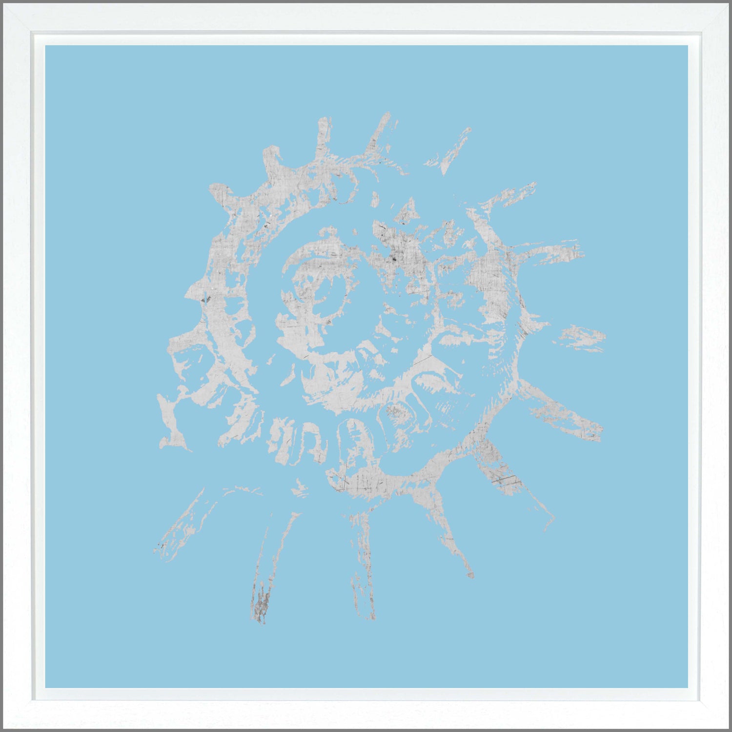 Spiral Shell — nature and landscape fine art print in cool tones at Laurie Yapp Home