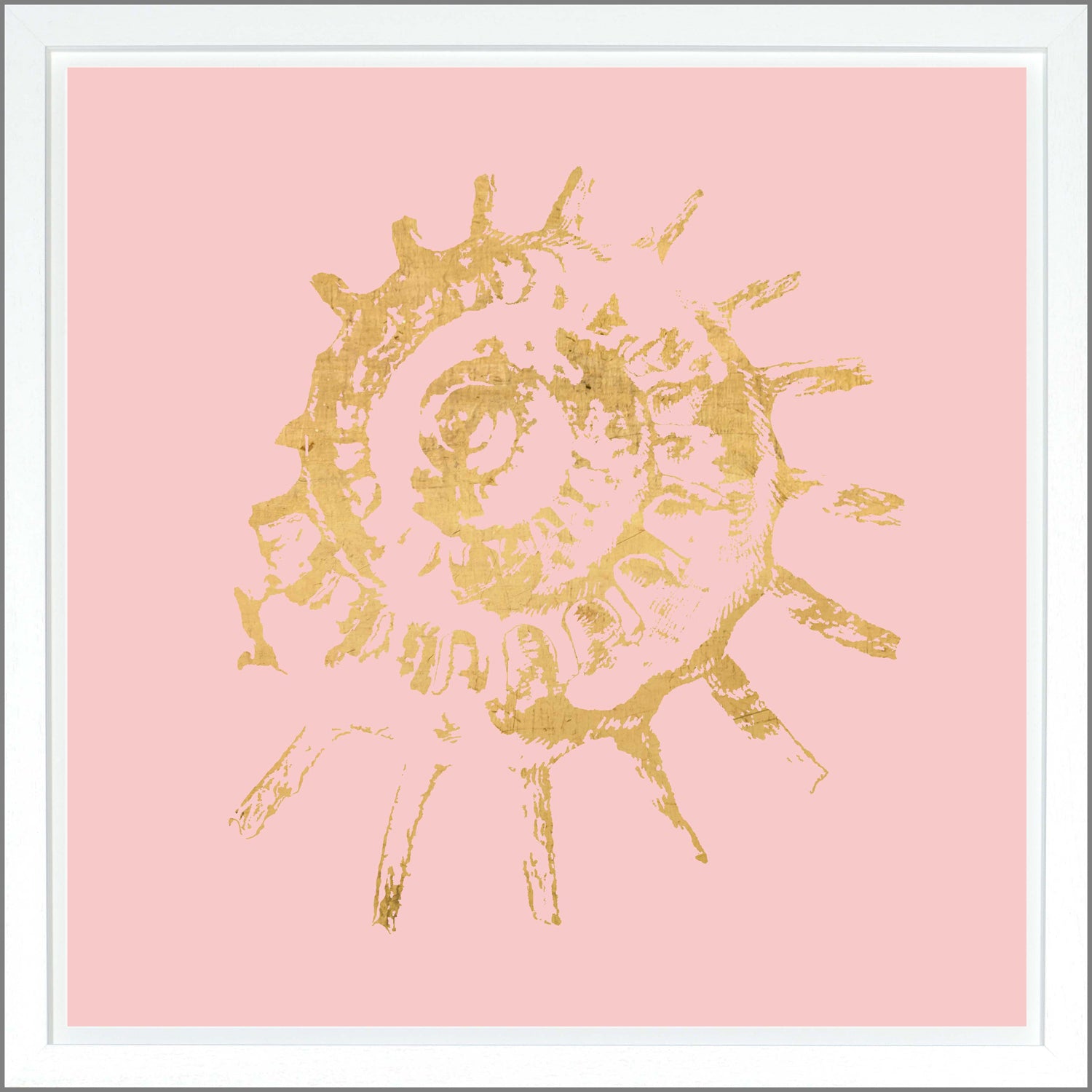 Spiral Shell — nature and landscape fine art print shown from another angle