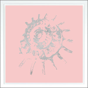 Spiral Shell — nature and landscape fine art print shown from another angle