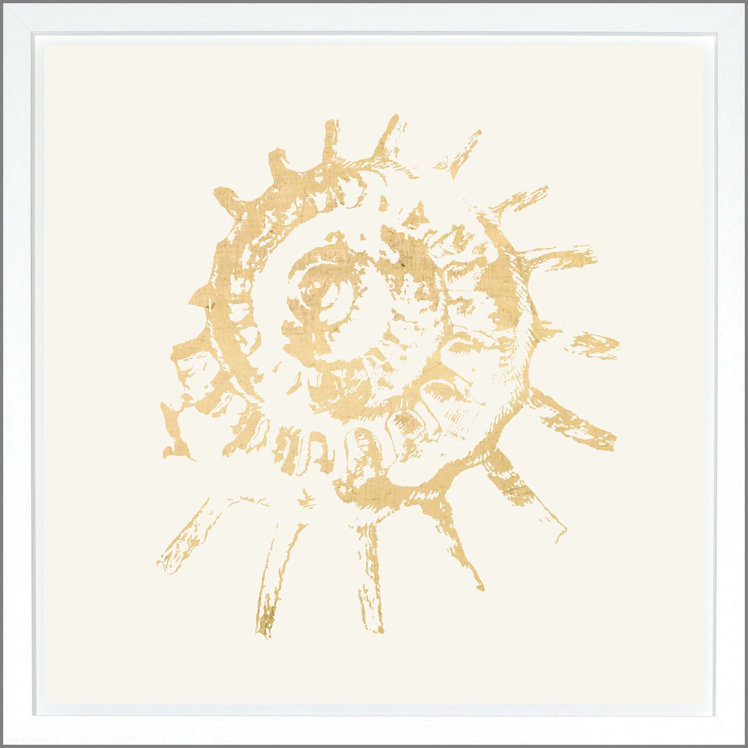 Spiral Shell — nature and landscape fine art print shown from another angle